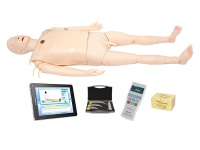 综合智能模拟人